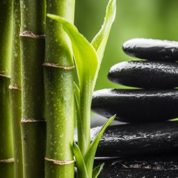 EcoFriendly Interiors Love Bamboo and We Do Too