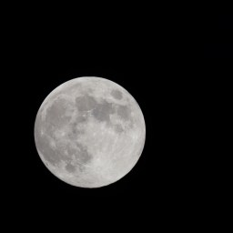 The Spiritual Significance of the Beaver Moon 🌙