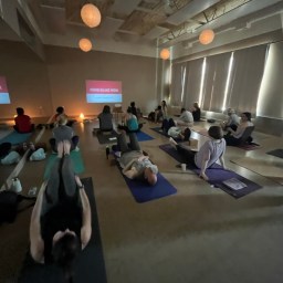 Feeling Stressed? Understanding the Body’s Stress Response Might Help